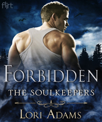 the soulkeepers series